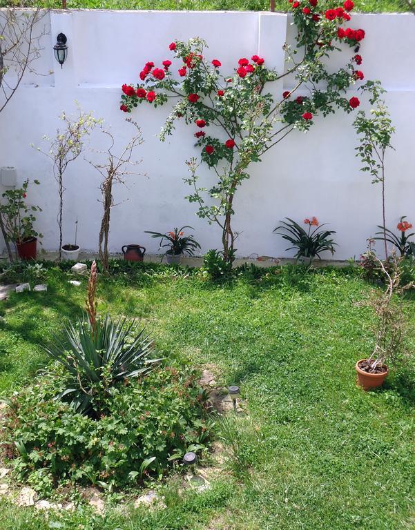 אובזור Petrovi Guest House מראה חיצוני תמונה