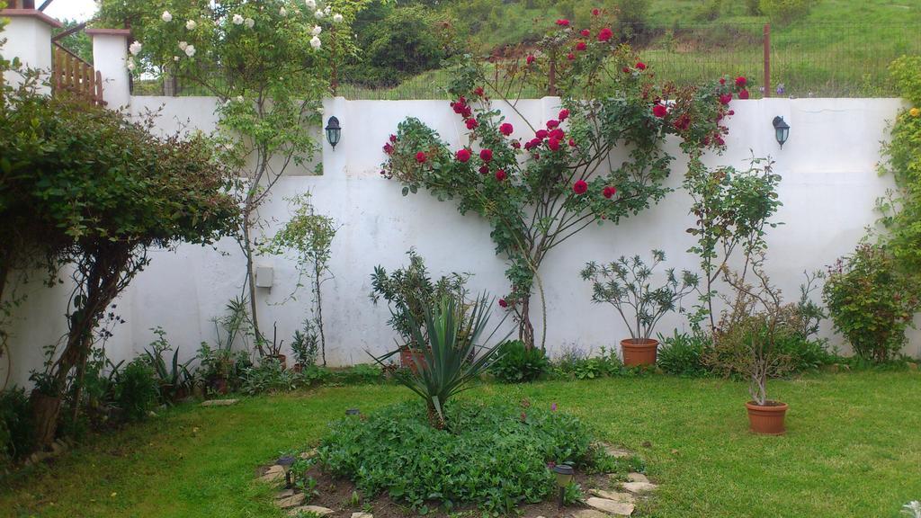 אובזור Petrovi Guest House מראה חיצוני תמונה